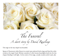 Short story - The Funeral (screenshot - cropped)